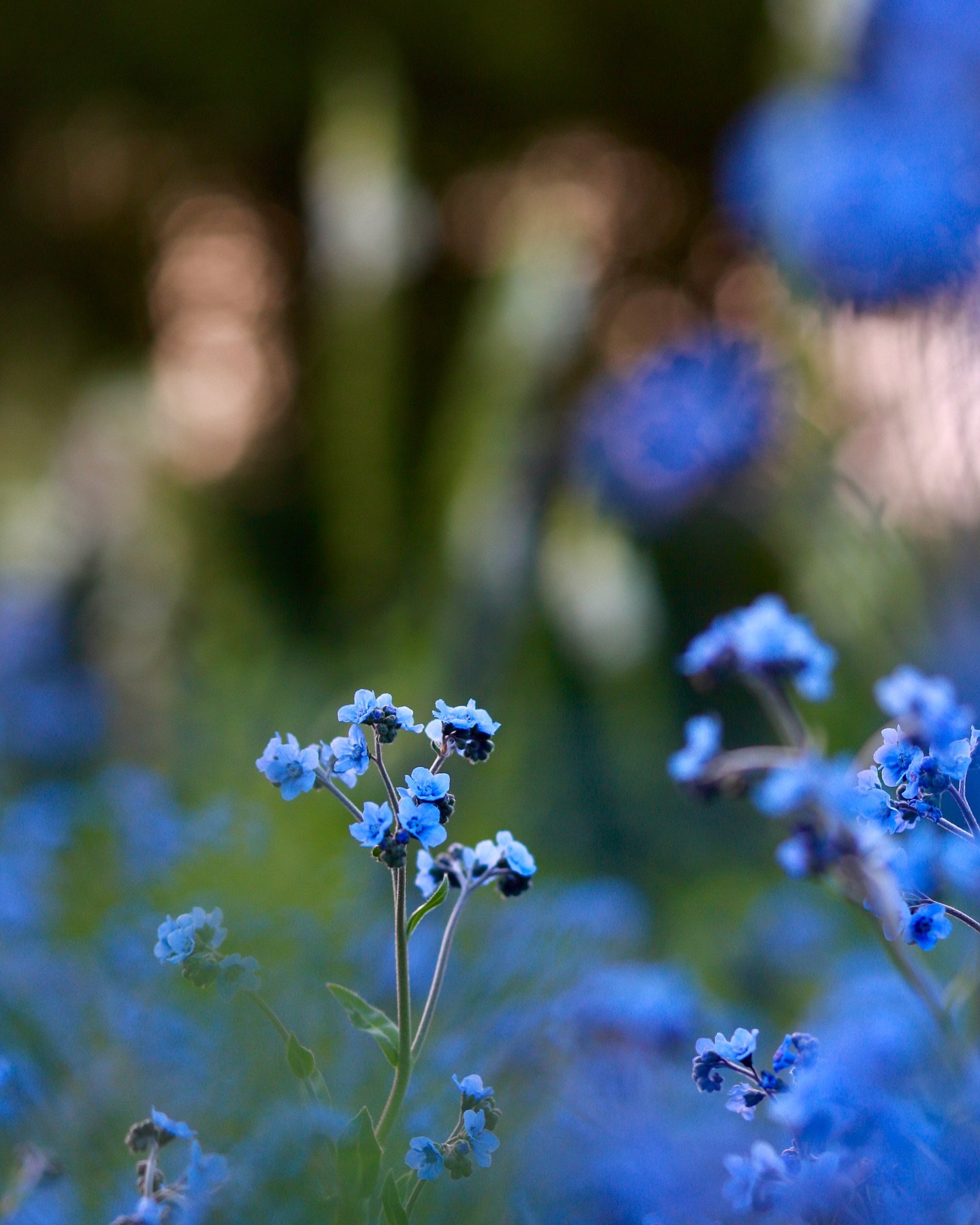 Did you know that today is Blue Monday?
Apparently the most depressing day of the year (what a lot of nonsense!) according to the travel firm, who came up with this 20 years ago and thought an ideal day to market holidays. 

Well, all I&rsquo;m sayin